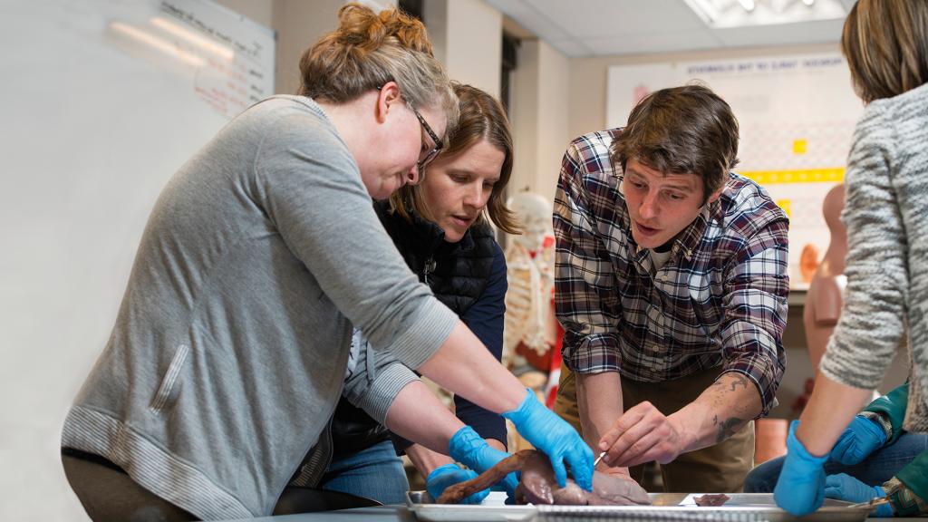 Students in Biology classroom