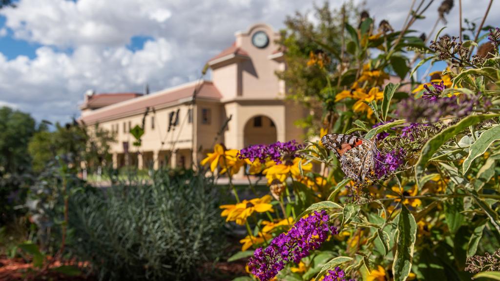 butterfly and flowers in front of Academic Building