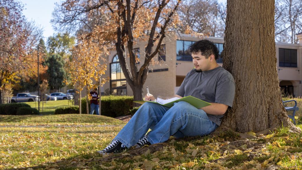 male studying under a tree on the Pueblo Campus