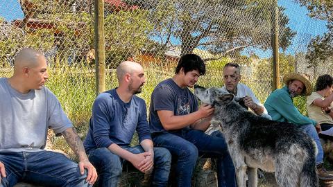 Aurelio Barajas, Brady Unger, Ryan Kent and Joshua Davis; and Mission: Wolf director and co-founder Kent Weber. 