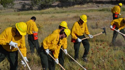 Wildland Fire Fighters in a field