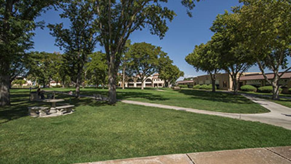 Campus Courtyard