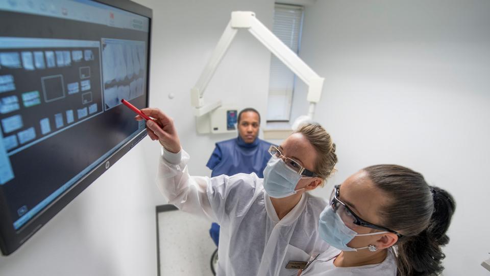 Dental Hygiene students looking at dental x-rays