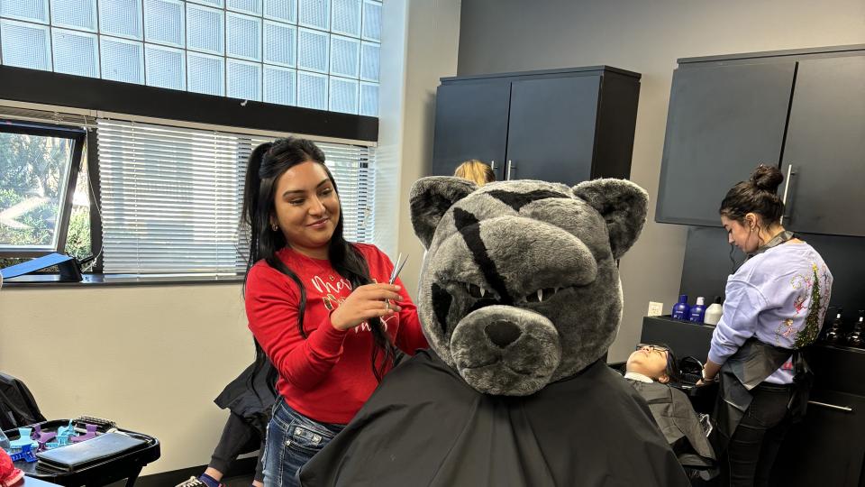 PCC Panther getting a haircut in the Cosmetology Clinic