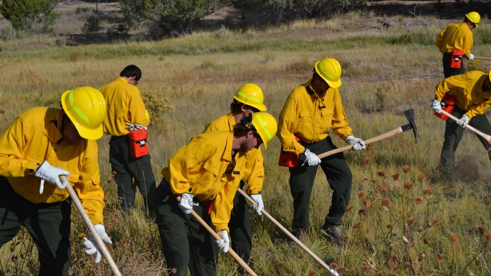 Wildland Fire Fighters in a field