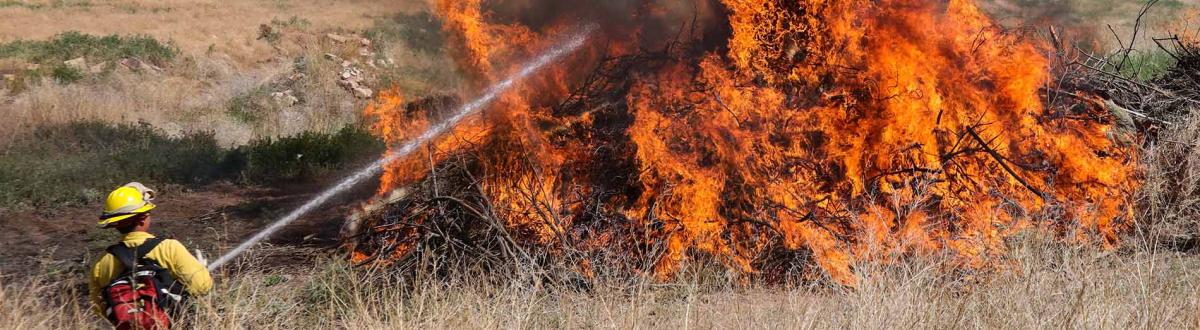 wild land firefighter