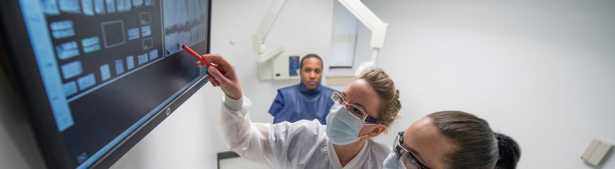 Dental Hygiene students looking at dental x-rays