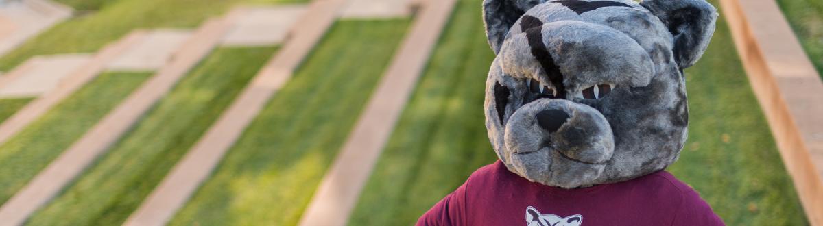 PCC Panther standing in front of amphitheater