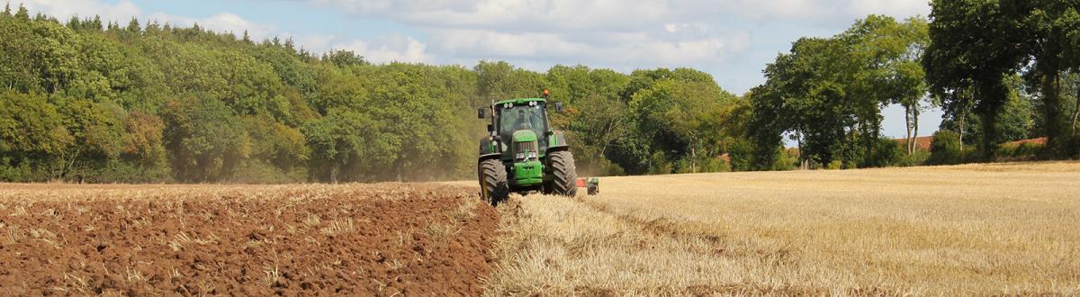 Tractor plowing a field