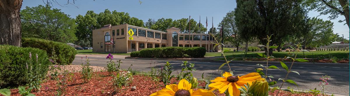 flowers on campus with Central Administration Building in the background