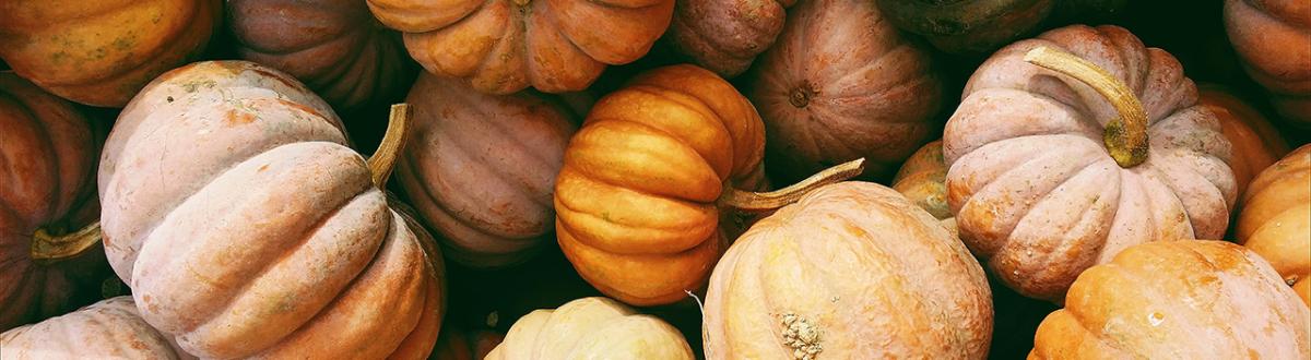 pumpkins