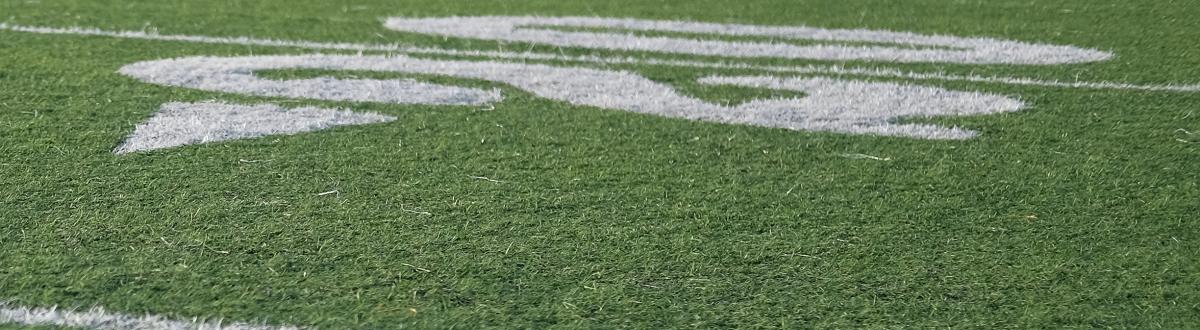football field