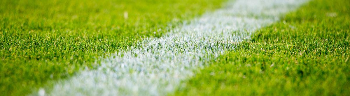 football field