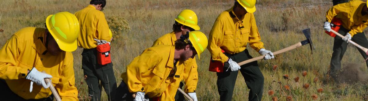 Wildland Fire Fighters in a field
