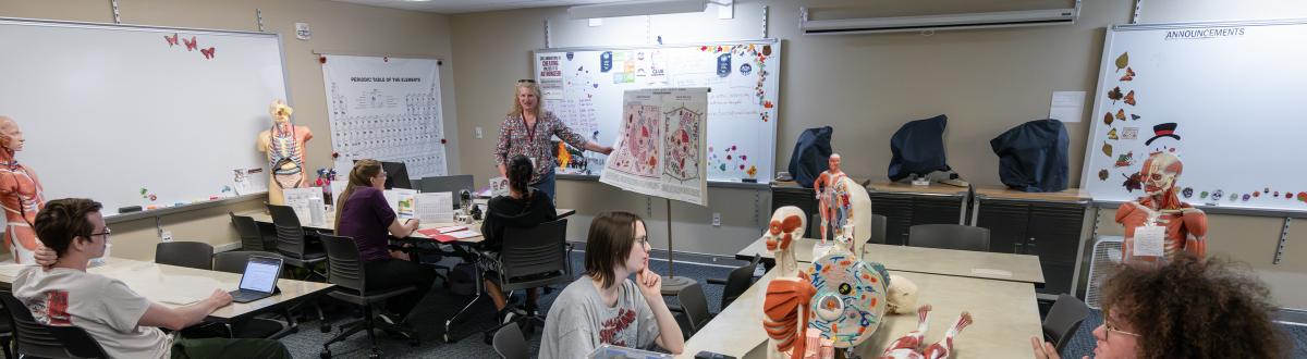 A group of students in a tutoring session