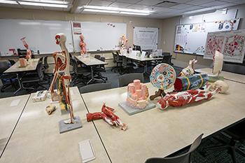 Models in one of our tutoring labs
