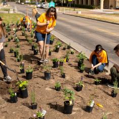 members of STEAM Club planting plants on the Pueblo Campus.